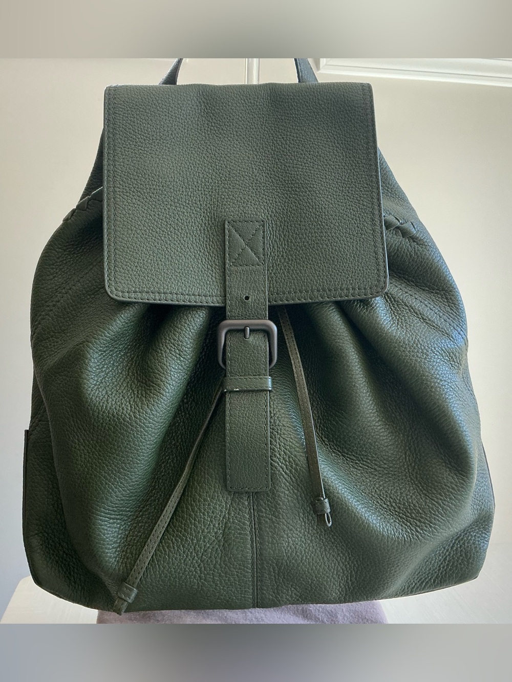 Bottega Veneta Cervo Deerskin Leather Backpack Green Olive Moss Dust Bag
